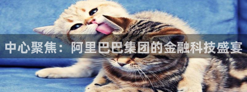 福建彩虹多多机电股份公司