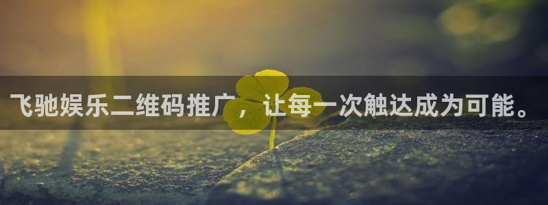 彩虹多多2体育：飞驰娱乐二维码推广，让每一次触达成为可能。