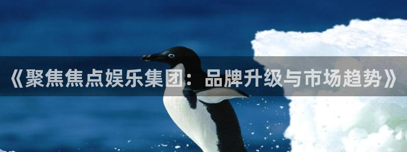 彩虹多多体育eon：《聚焦焦点娱乐集团：品牌升级与市场趋势》
