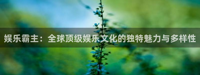 彩虹多多3登录：娱乐霸主：全球顶级娱乐文化的独特魅力与多样性