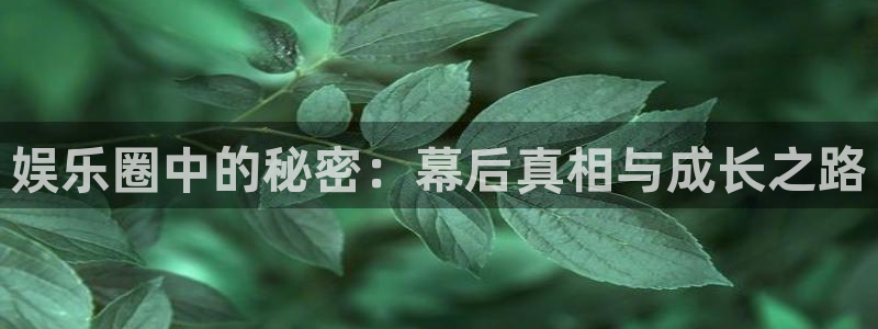 彩虹多多平台在线开户：娱乐圈中的秘密：幕后真相与成长之路