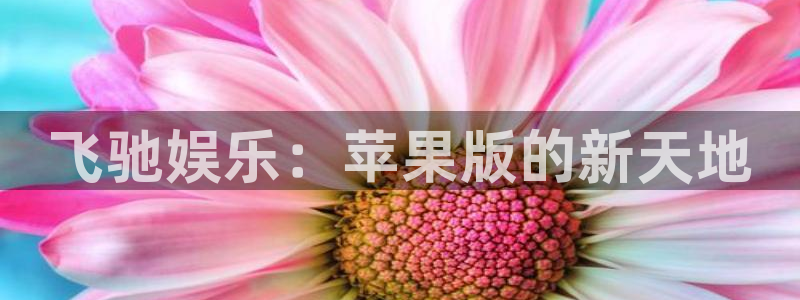 彩虹多多3登陆