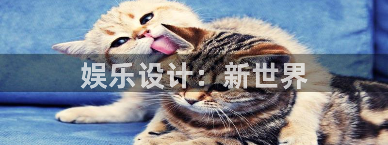 彩虹多多k：娱乐设计：新世界