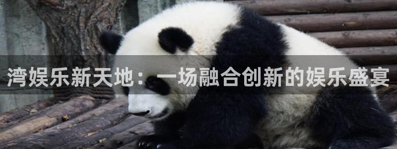 彩虹多多集团总部：湾娱乐新天地：一场融合创新的娱乐盛宴