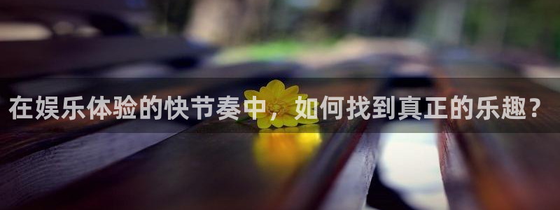 彩虹多多代理注册官网入口：在娱乐体验的快节奏中，如何找到真正的乐趣？