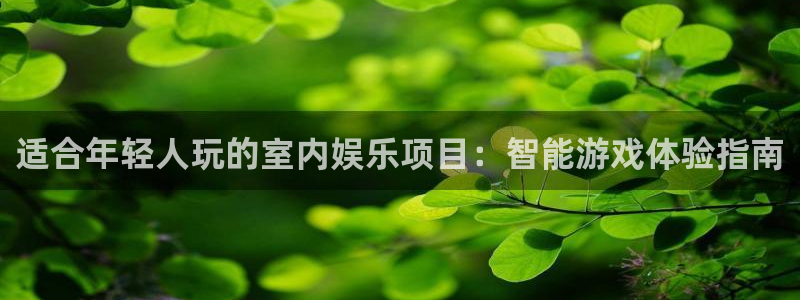 彩虹多多体育平台开号链接：适合年轻人玩的室内娱乐项目：智能游戏体验指南