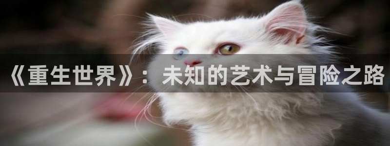 彩虹多多：《重生世界》：未知的艺术与冒险之路