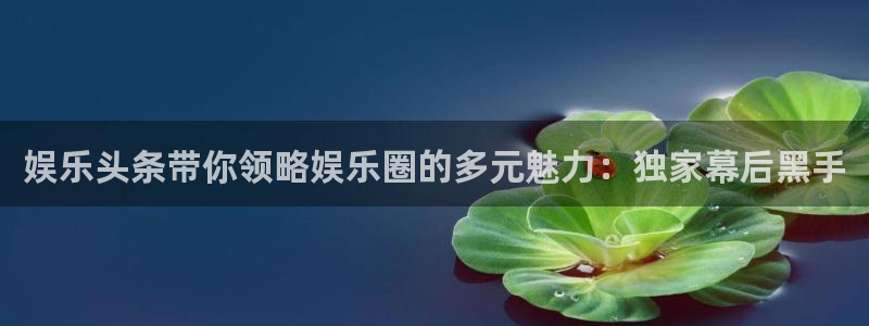 彩虹多多kgame：娱乐头条带你领略娱乐圈的多元魅力：独家幕后黑手
