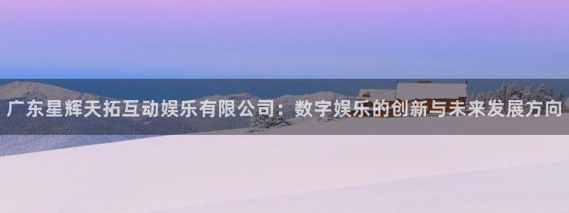 彩虹多多凯捷注册：广东星辉天拓互动娱乐有限公司：数字娱乐的创新与未来发展方向