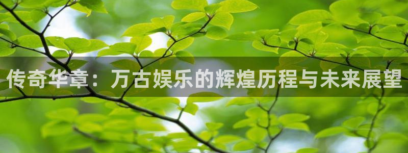 彩虹多多零能源集团