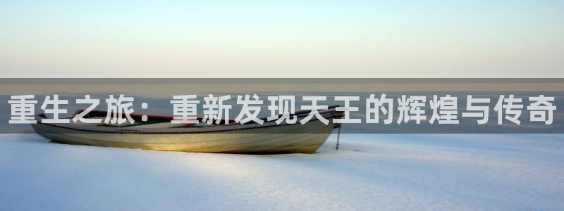 彩虹多多：重生之旅：重新发现天王的辉煌与传奇
